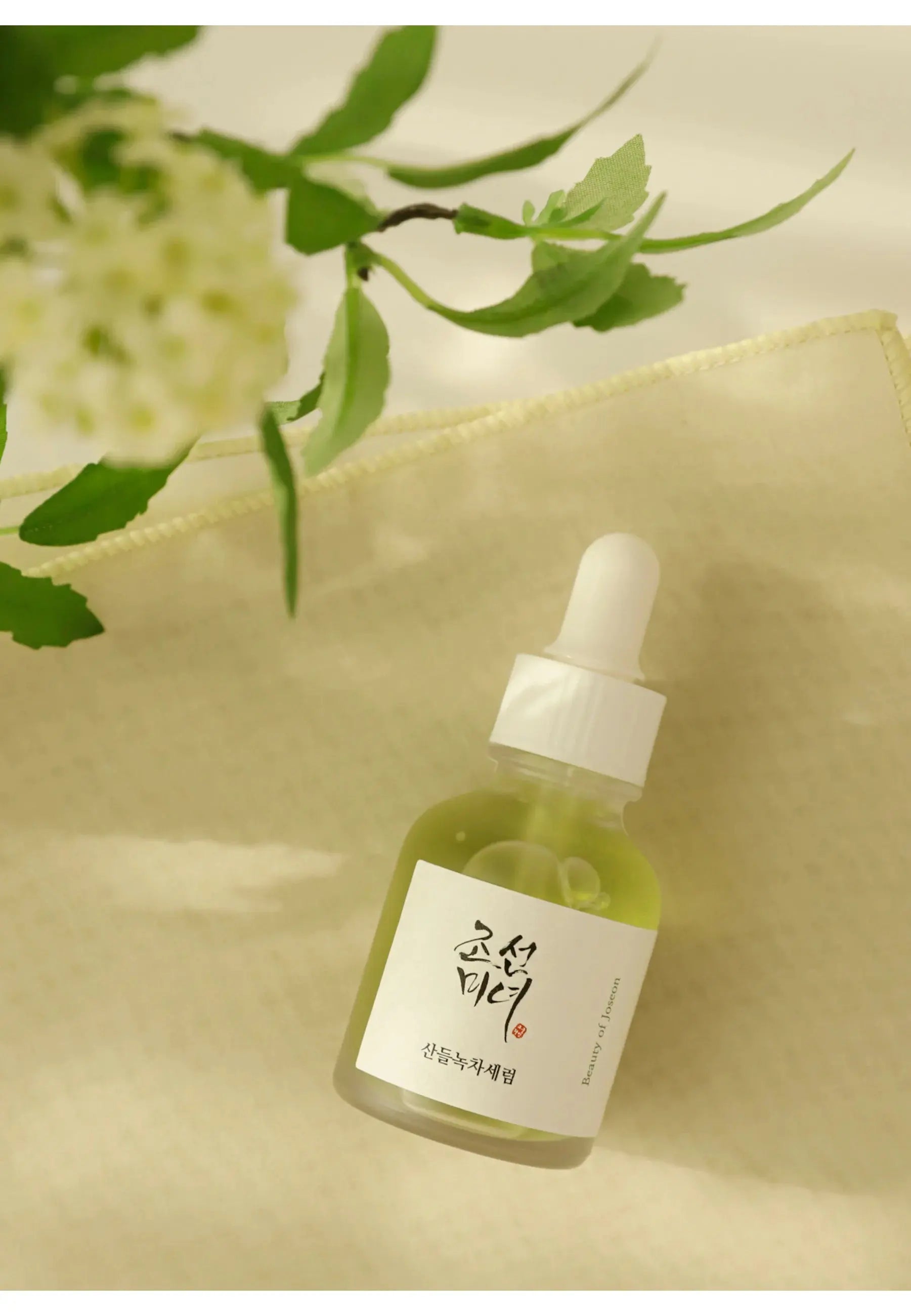 Beauty of Joseon CALMING SERUM: GREEN TEA + PANTHENOL KskinRitual